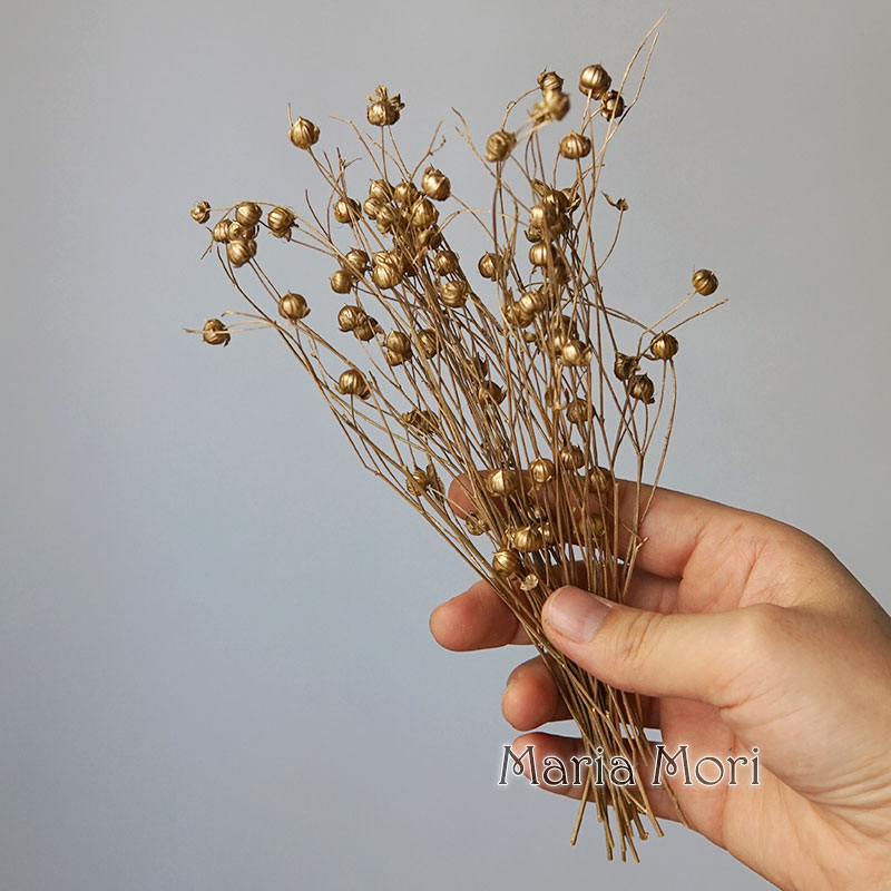 5g Preserved Flax Bean Natural - огляд і ціна Candle Making Supplies Online